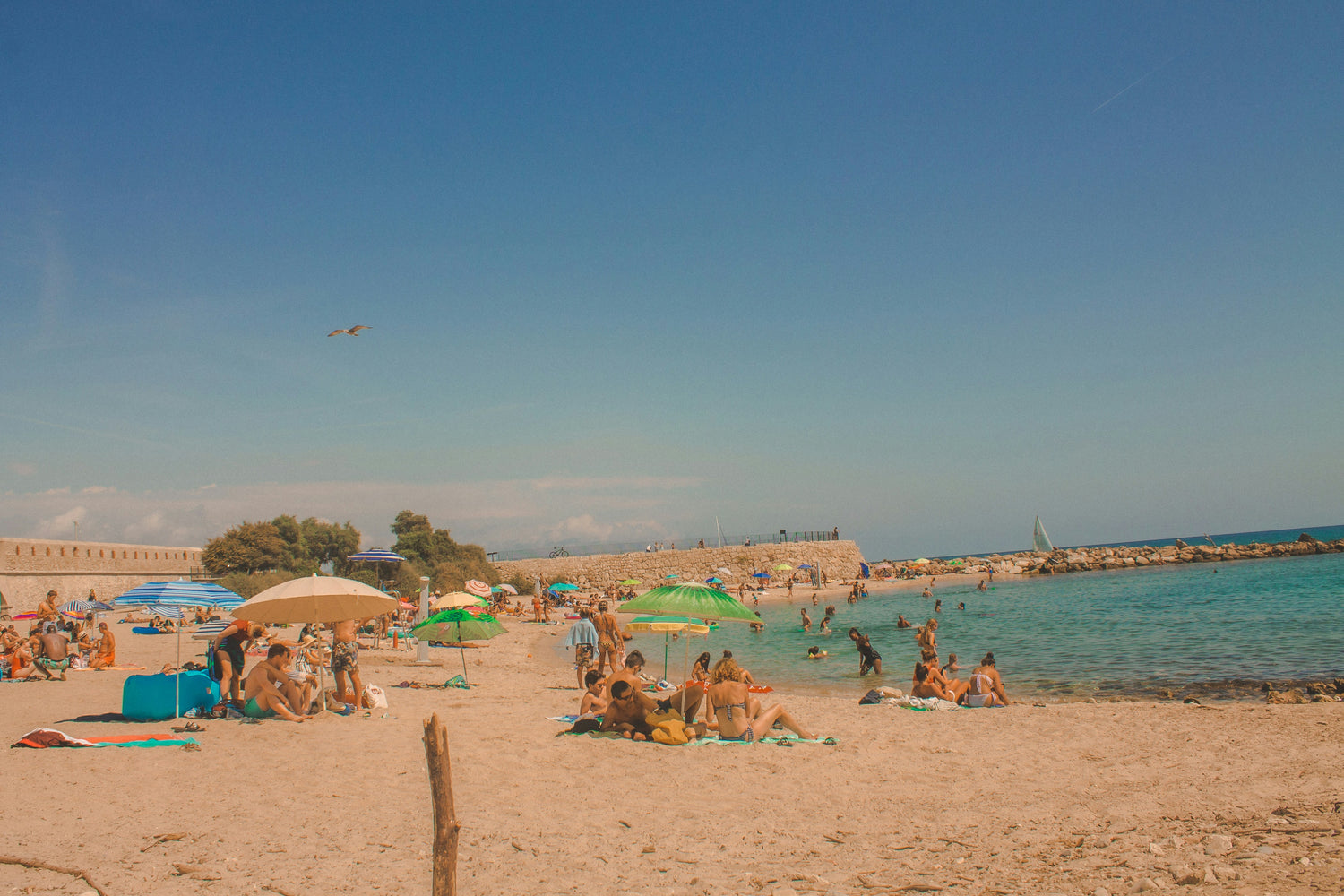 Juan-les-pins Collection